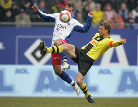 球迷和專業 球迷和專業